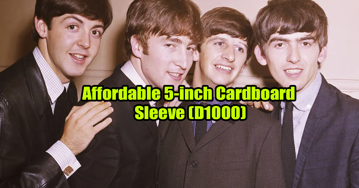 Affordable 5-inch Cardboard Sleeve (D1000) for CD & DVD Packaging in 2026